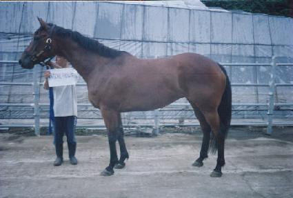 �������Ͽ콺 ����