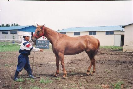 ������ ����