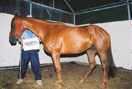 ��ġ�ǽ��ڿ�� ����