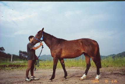 �ô���Ÿ ����