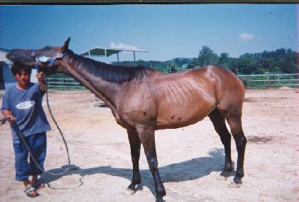 �극�̽��� ����