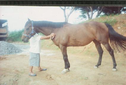 �ٽ� ����