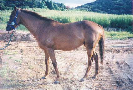 ���̸������̸��� ����