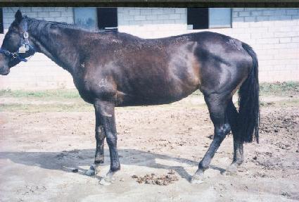 ����ũ���� ����