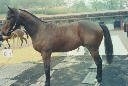 ����Ÿ�� ����