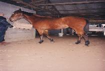 �޽��� (MESSAGE) ����