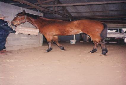 �޽��� ����