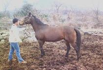 ����Ʈ���� (SUITE HAPPY) ����