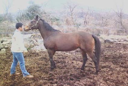 ����Ʈ���� ����