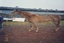 �����Ҹ� (MYEONGJI SORI) ����