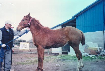 ȣ���� ����