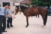 �������� (SEONDO JIHWI) ����