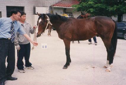 �������� ����