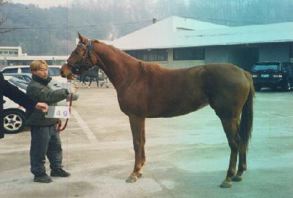 ��õ���� ����