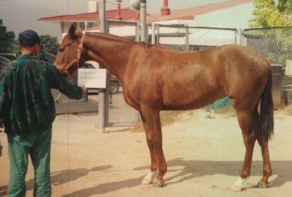 ������ؼ� ����