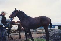 ���ͺ� (INTERVIEW) ����