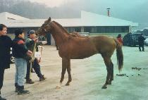 ������� (DAESEUNG JEONDANG) ����