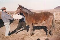 ���󿡼� (JEONGSANG ESEO) ����