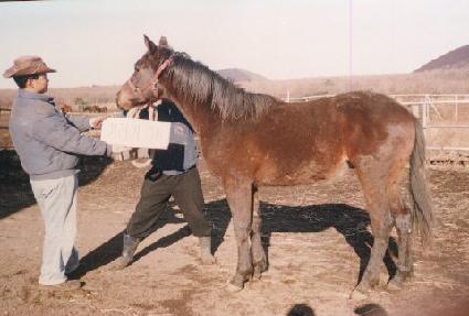 ���󿡼� ����