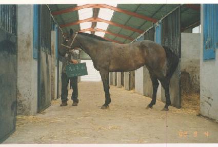 �̱�۳� ����