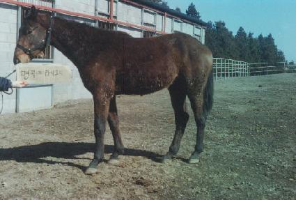 ���� ����