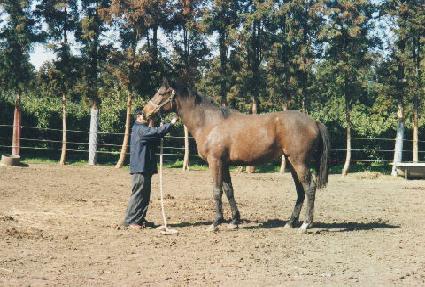 �ֿ����� ����