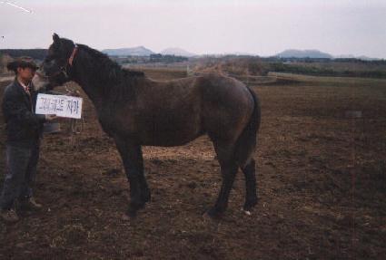 ��ǹ� ����