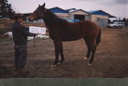 ��Ʈ���� ����