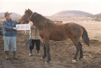 ��帶��ƾ ����