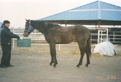 ���� ����