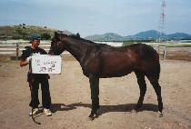 ����ٴ� (DAJAE DANEUNG) ����