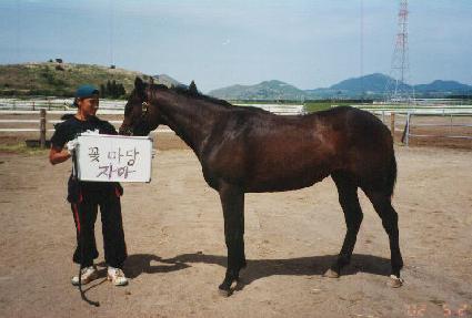 ����ٴ� ����