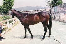 �����̼� (MEOTJIN MISO) ����