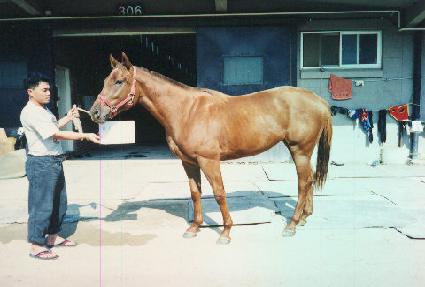 ���� ����