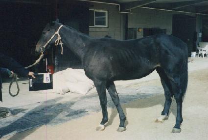 �����ǲ� ����