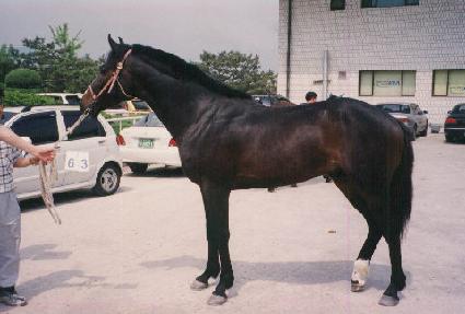 ���� ����