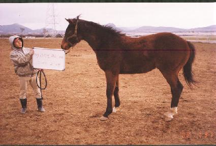 ����� ����