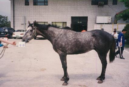 ����Ŀ�� ����