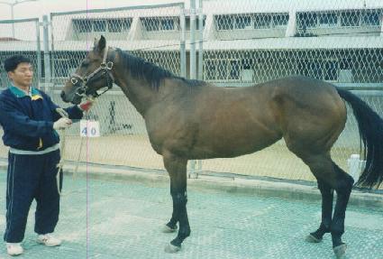 ĥ���屺 ����