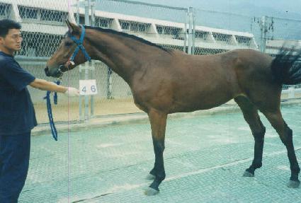 ��Ŭ����� ����