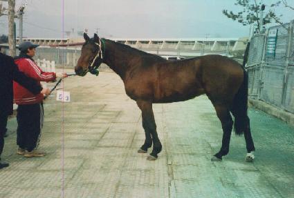 ȭ�� ����