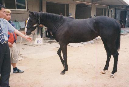 �ذŸ� ����