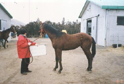 ���� ����