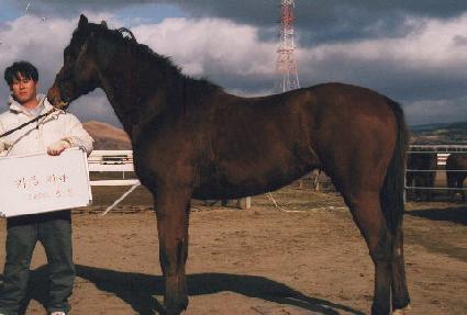 �¶��� ����