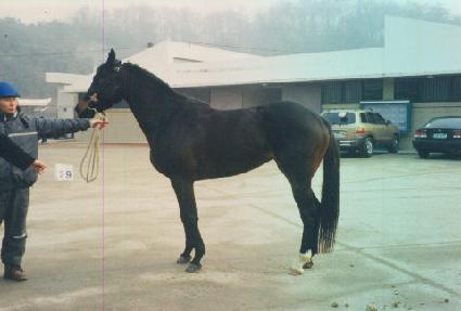 �ƶ��� ����