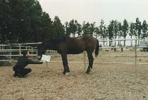 �۽�ƮŬ���� (FIRST CLASS) ����