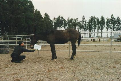 �۽�ƮŬ���� ����