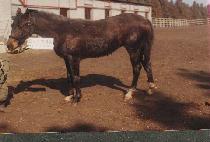 �����Ѹ¼� (YEONGWONHAN MATSU) ����