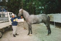 ������ (BYEOLSURI) ����