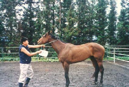 �浹�� ����